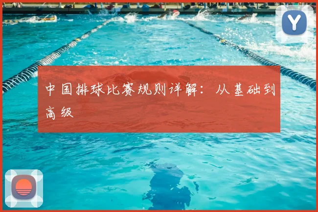 中国排球比赛规则详解：从基础到高级