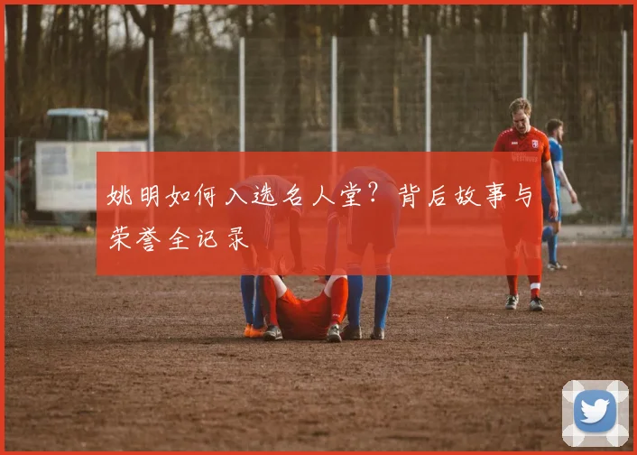 姚明如何入选名人堂？背后故事与荣誉全记录