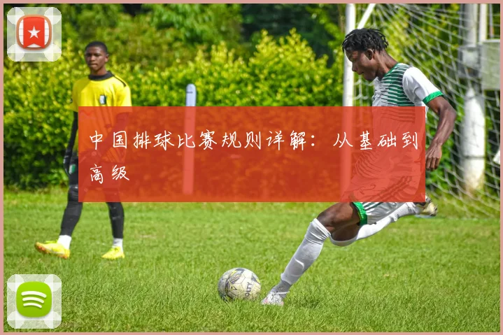 中国排球比赛规则详解：从基础到高级